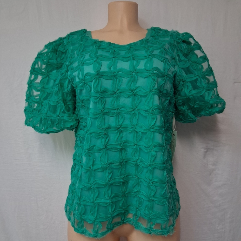 Cato Collection Limited Edition Chic Textured Green Blouse romantic, Chic Sz M